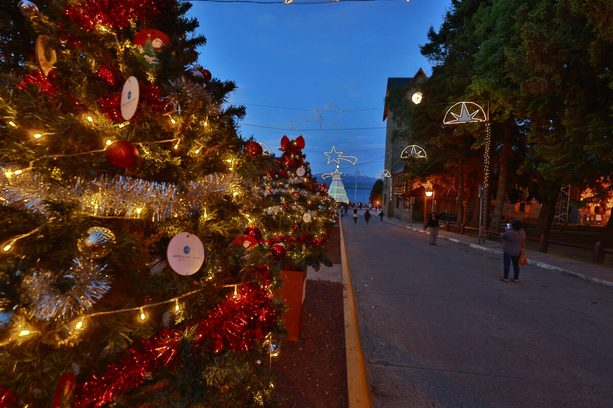 NAVIDAD 2023-391