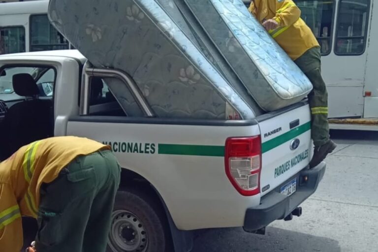 WhatsApp Image 2025-01-25 at 10.16.34 AM (1)