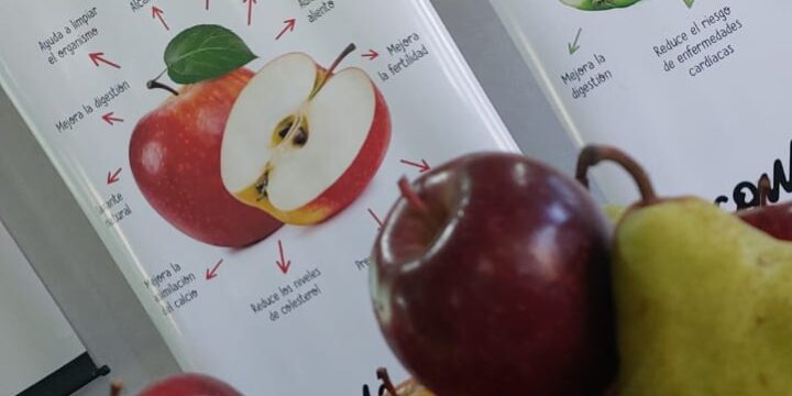 WhatsApp Image 2025-09-05 at 12.12.04 PM (2)