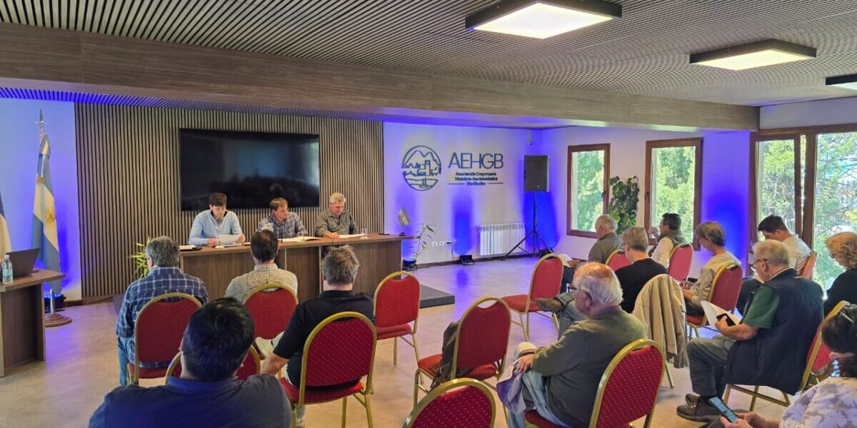 WhatsApp Image 2025-12-17 at 4.03.19 PM